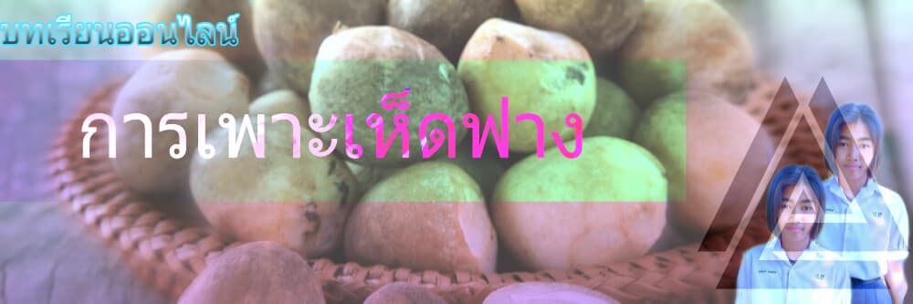 การเพาะเห็ดฟาง